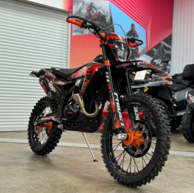 Кроссовый мотоцикл FAIDET PR300 MAX WP в Пензе