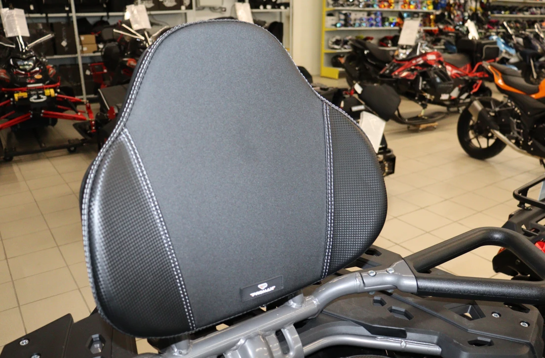 Квадроцикл PROMAX RENEGADE 300 LONG WINCH PRO (2025) в Пензе