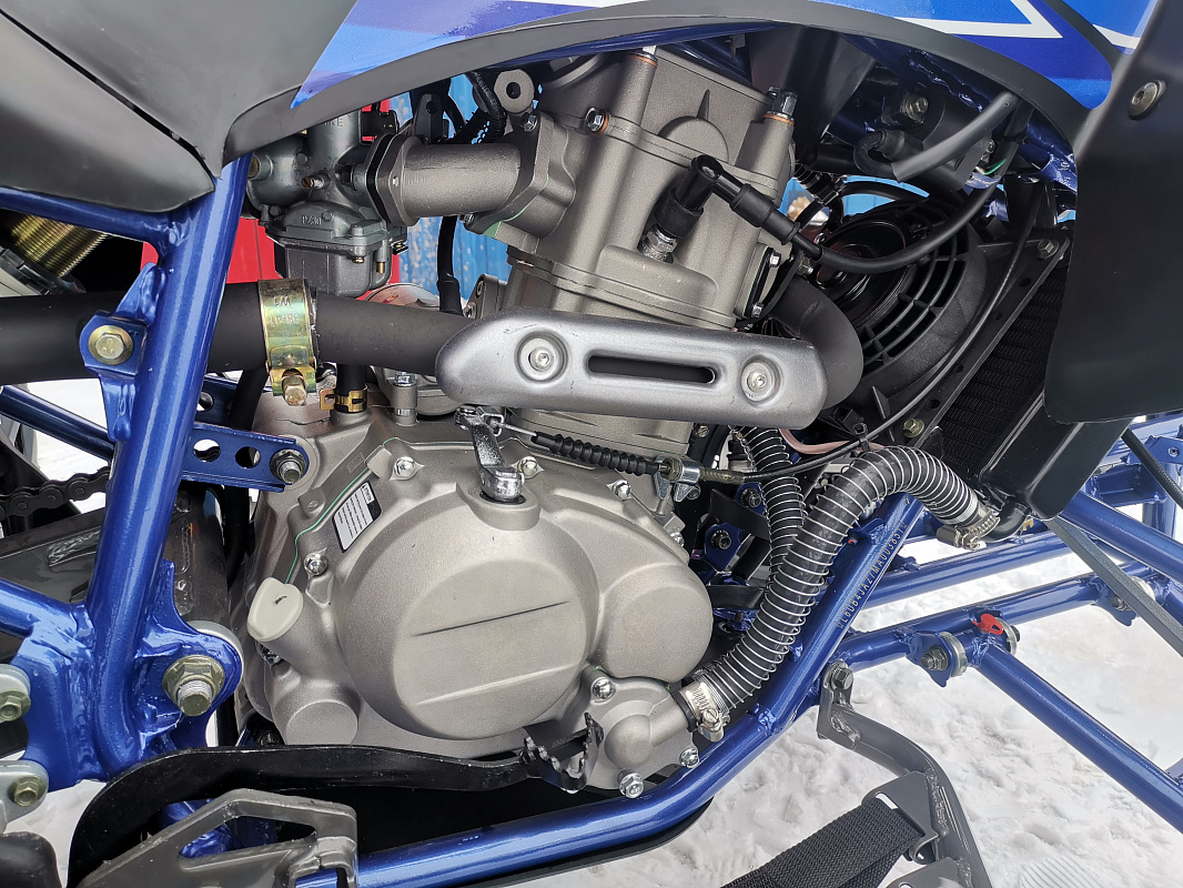 Квадроцикл PROMAX RAPTOR 300 NEW RedBull в Пензе