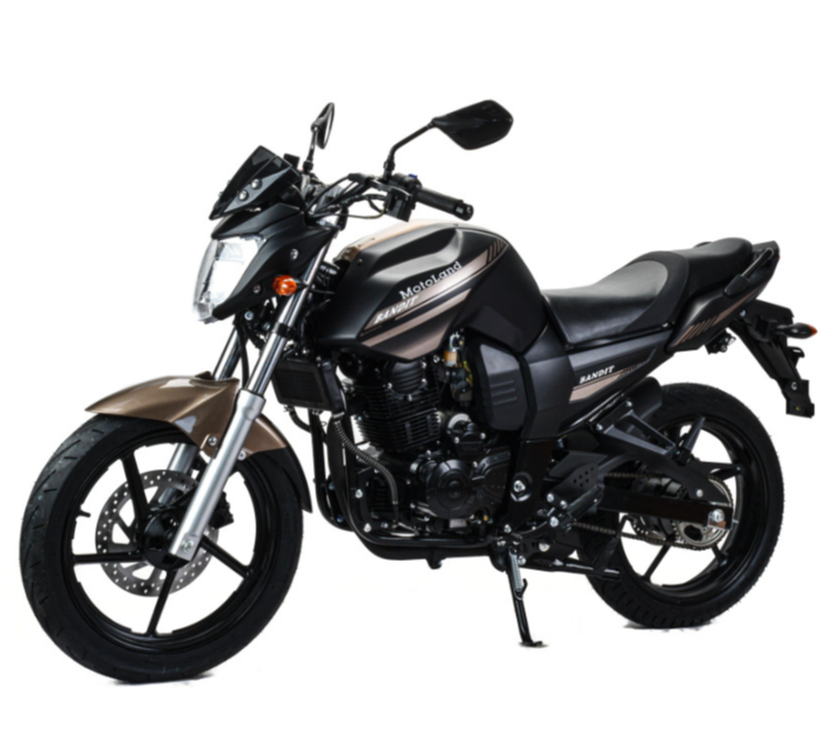 Мотоцикл MOTOLAND (МОТОЛЕНД) 300 BANDIT в Пензе