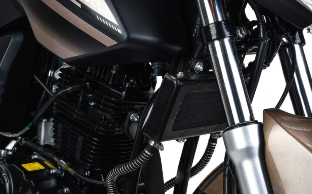 Мотоцикл MOTOLAND (МОТОЛЕНД) 300 BANDIT в Пензе