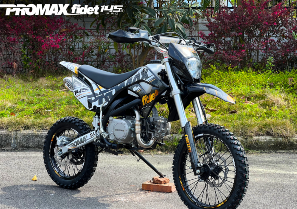 Мотоцикл (питбайк) PROMAX FIDET (ФАЙДЕТ) 145E PRO 17/14 в Пензе