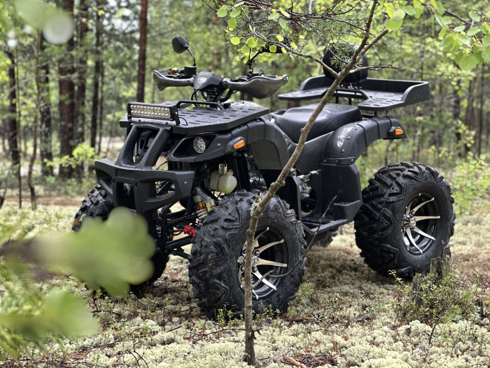 Квадроцикл PROMAX 320 DOMINATOR (2025) в Пензе