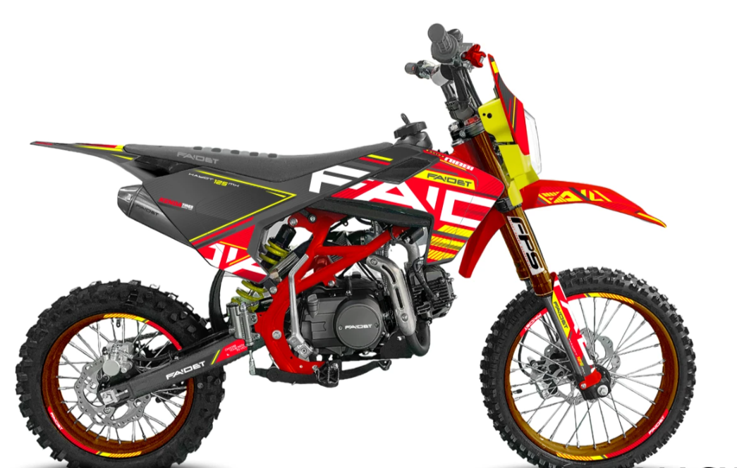 Питбайк FAIDET KAYOT 150E-PRO 19/16 в Пензе