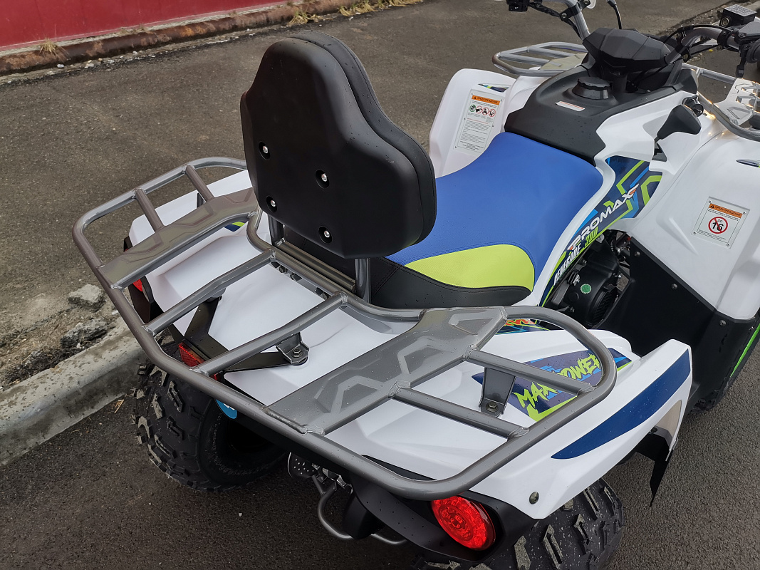 Квадроцикл PROMAX RENEGADE 280 LUX (2025) в Пензе