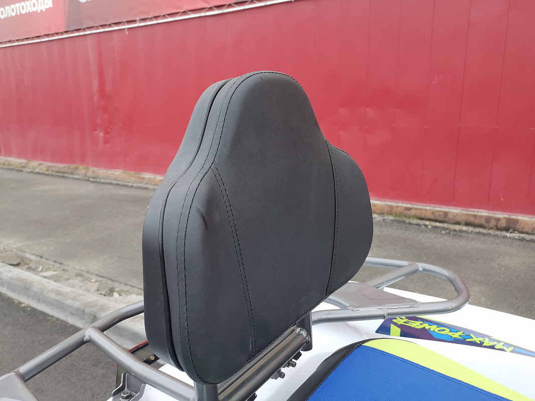 Квадроцикл PROMAX RENEGADE 280 LUX (2025) в Пензе