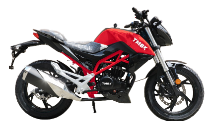 Мотоцикл TMBK Dukes 200cc в Пензе