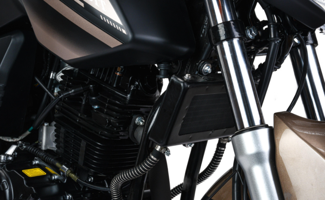 Мотоцикл MOTOLAND (МОТОЛЕНД) 300 BANDIT в Пензе