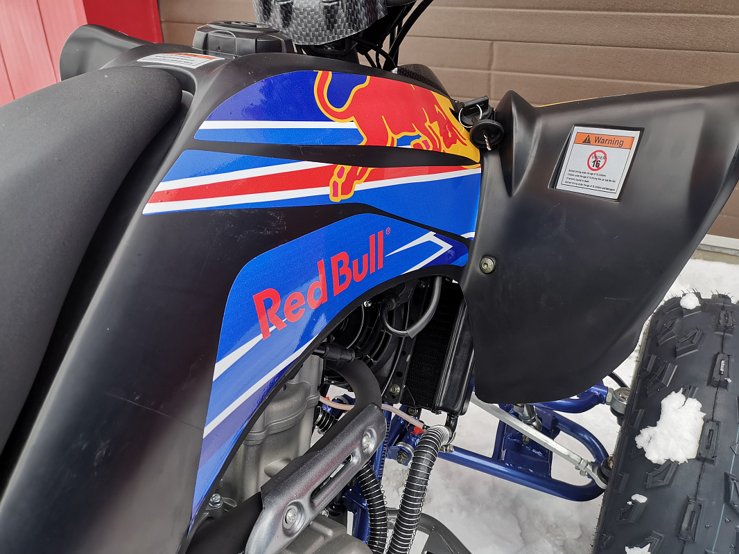 Квадроцикл PROMAX RAPTOR 300 NEW RedBull в Пензе