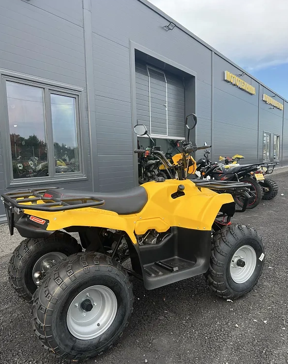 КВАДРОЦИКЛ IRBIS ATV 250  в Пензе