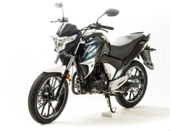 Мотоцикл MOTOLAND (МОТОЛЕНД) FIGHTER 250 в Пензе