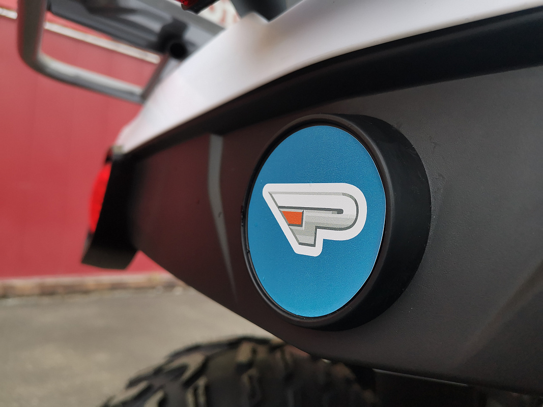 Квадроцикл PROMAX RENEGADE 280 LUX (2025) в Пензе