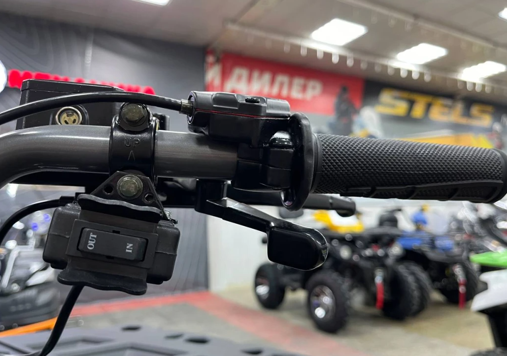 Квадроцикл PROMAX RENEGADE 300 LONG WINCH PRO (2025) в Пензе