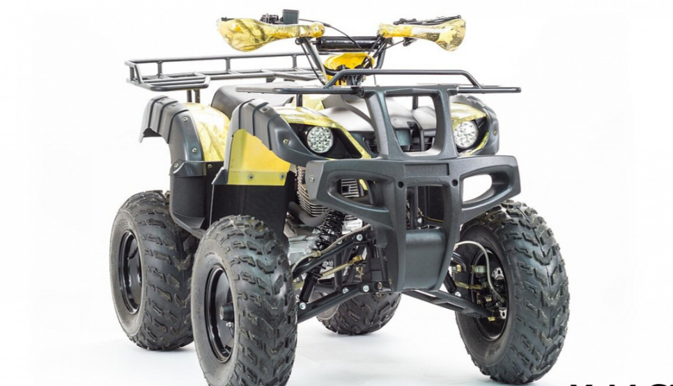 Квадроцикл MOTOLAND (МОТОЛЕНД) 250 ADVENTURE в Пензе