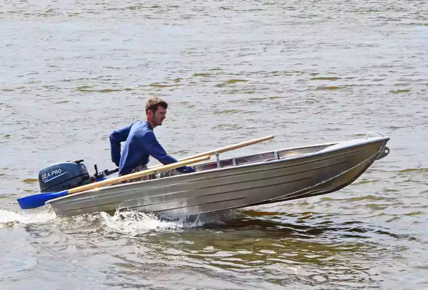 Алюминиевая Wyatboat-320 в Пензе