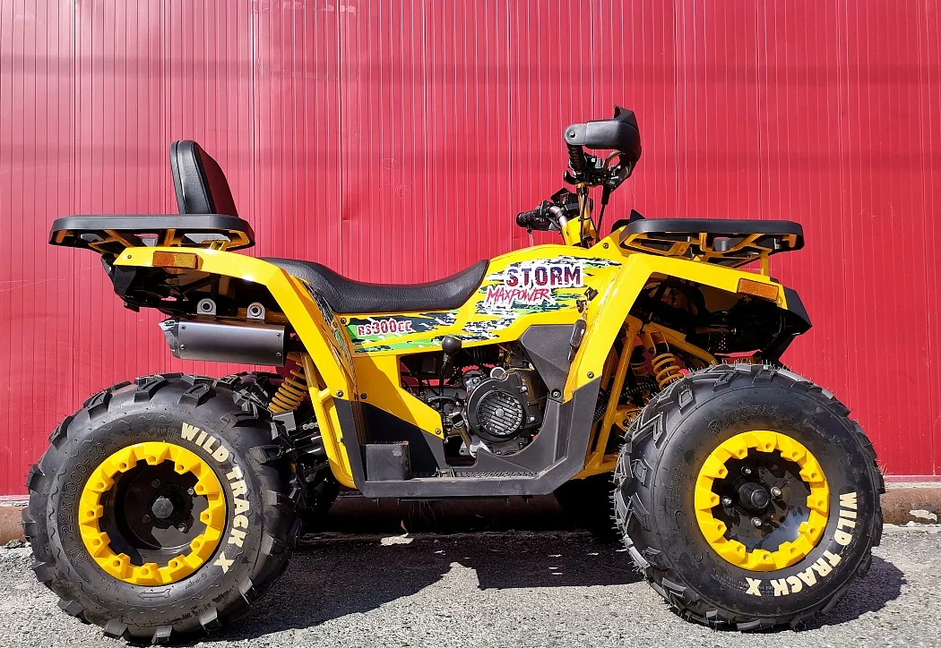 Квадроцикл PROMAX STORM 280 LUX в Пензе