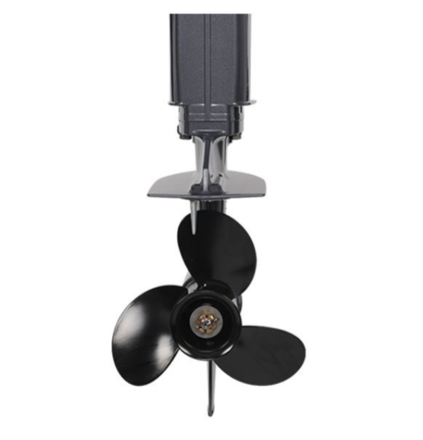 Лодочный мотор ALLFA CG Т40FW S в Пензе