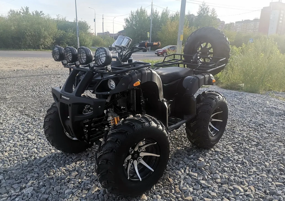 Квадроцикл PROMAX LEO 300 Max (кардан) в Пензе