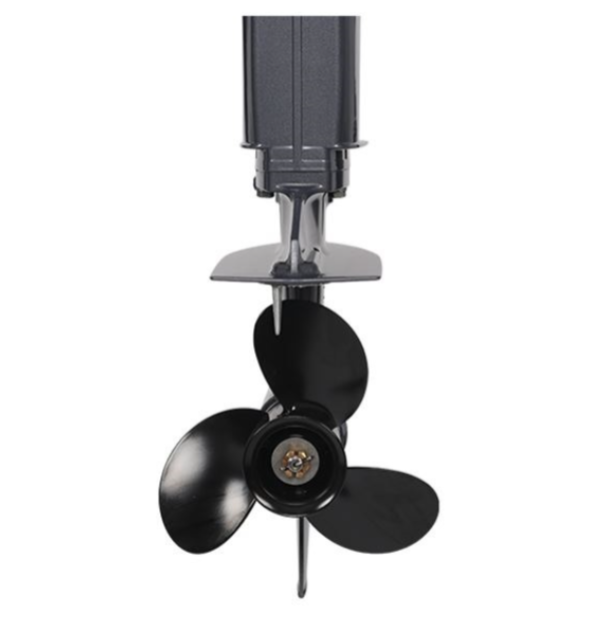 Лодочный мотор ALLFA CG Т40FWT S в Пензе