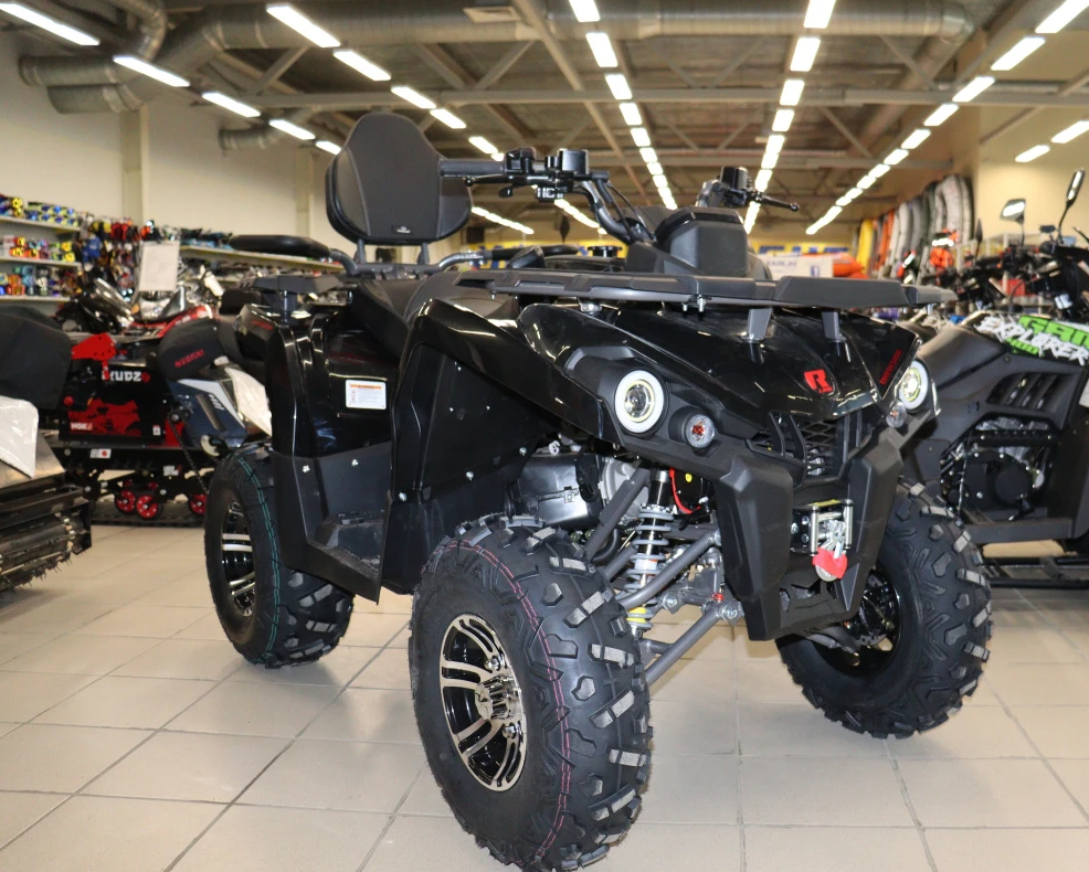 Квадроцикл PROMAX RENEGADE 300 LONG WINCH PRO (2025) в Пензе