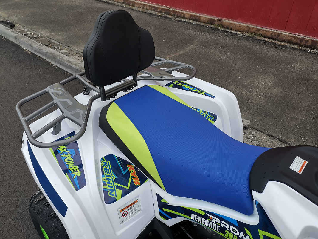 Квадроцикл PROMAX RENEGADE 280 LUX (2025) в Пензе