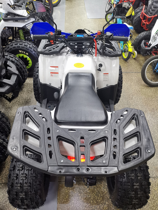 Квадроцикл PROMAX WILD 175 LUX в Пензе