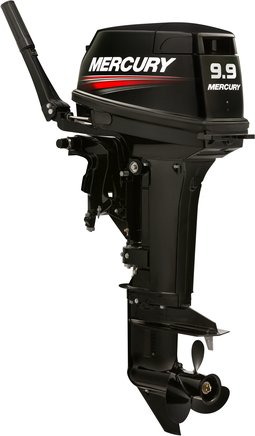 ЛОДОЧНЫЙ МОТОР MERCURY 9.9 MH TMC 247 CC в Пензе