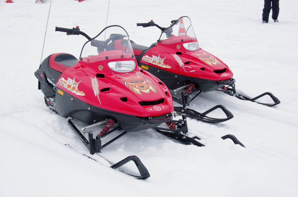 Снегоход РМ ТАЙГА РЫСЬ в Пензе