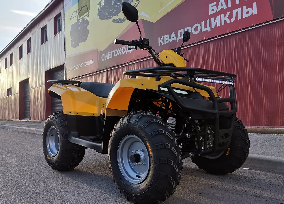 КВАДРОЦИКЛ IRBIS ATV200 в Пензе