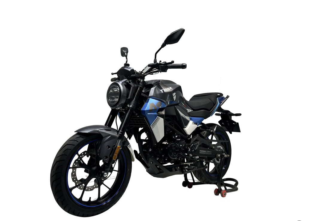 Мотоцикл TMBK MONTANA 250 (165 FMM) в Пензе