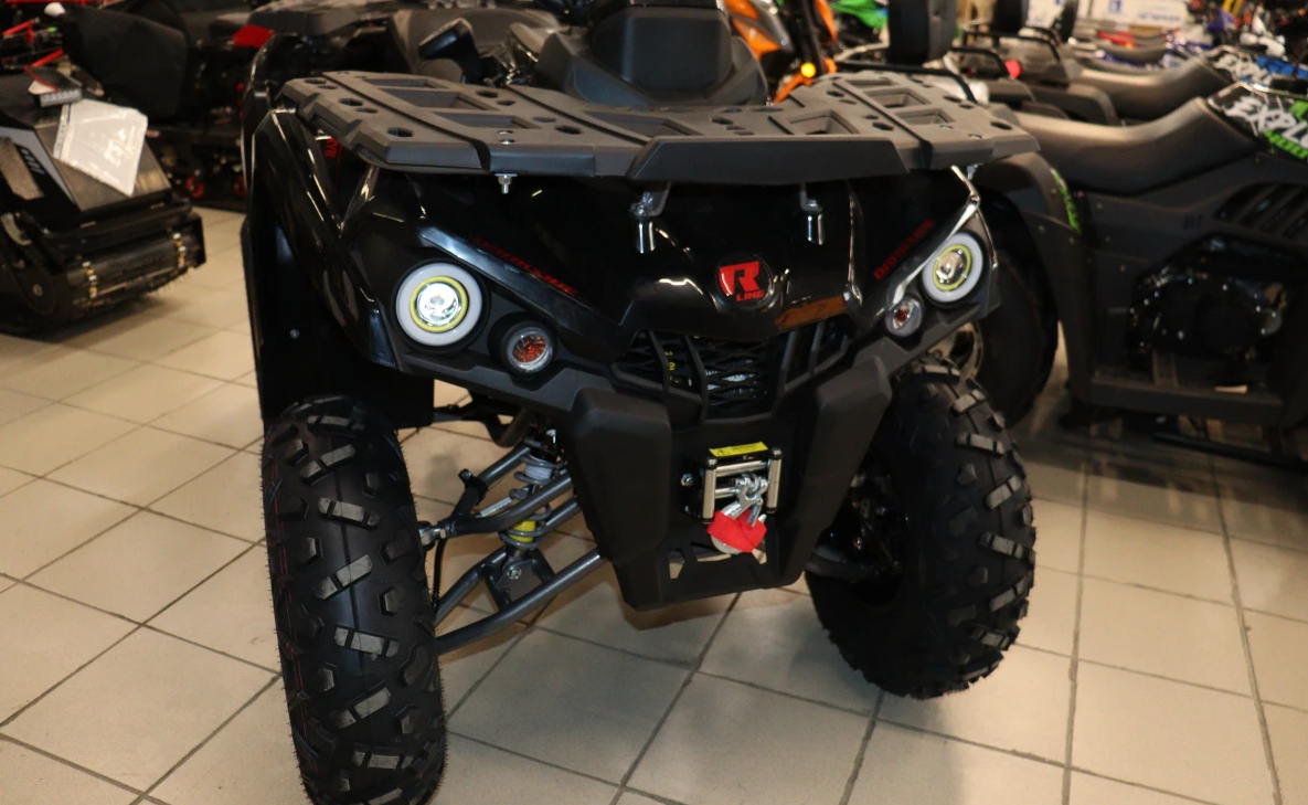 Квадроцикл PROMAX RENEGADE 300 LONG WINCH PRO (2025) в Пензе
