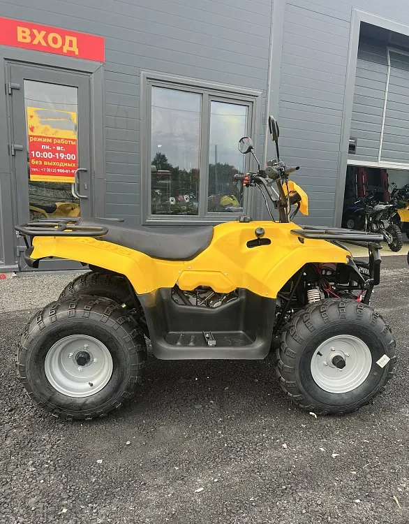 КВАДРОЦИКЛ IRBIS ATV 250  в Пензе