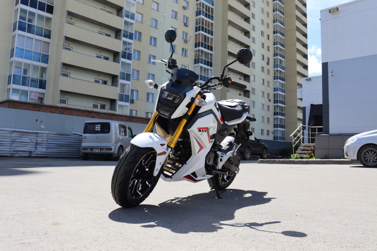 Мотоцикл PROMAX STRYKER 200(49) 2.0 в Пензе