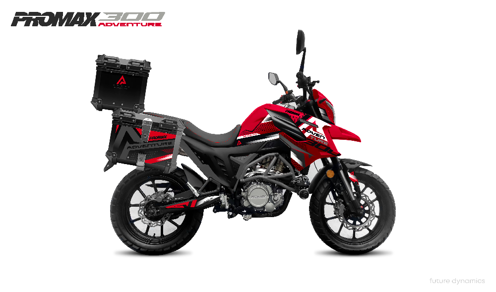 Мотоцикл PROMAX ADVENTURE 300 PRO EFI (NB300) в Пензе