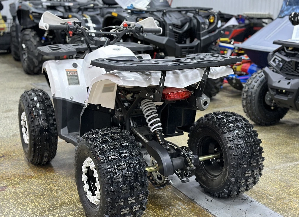 Квадроцикл PROMAX WILD 2.0 190 в Пензе