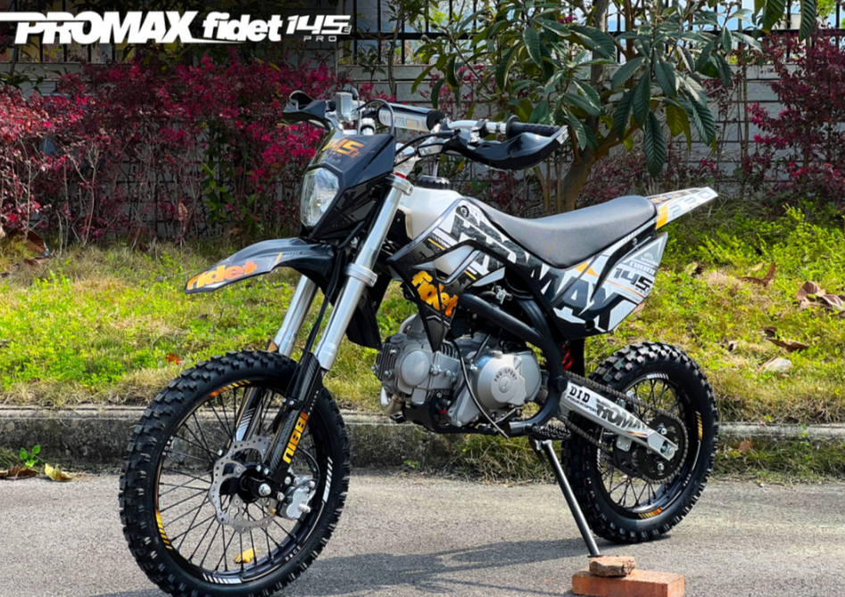 Мотоцикл (питбайк) PROMAX FIDET (ФАЙДЕТ) 145E PRO 17/14 в Пензе