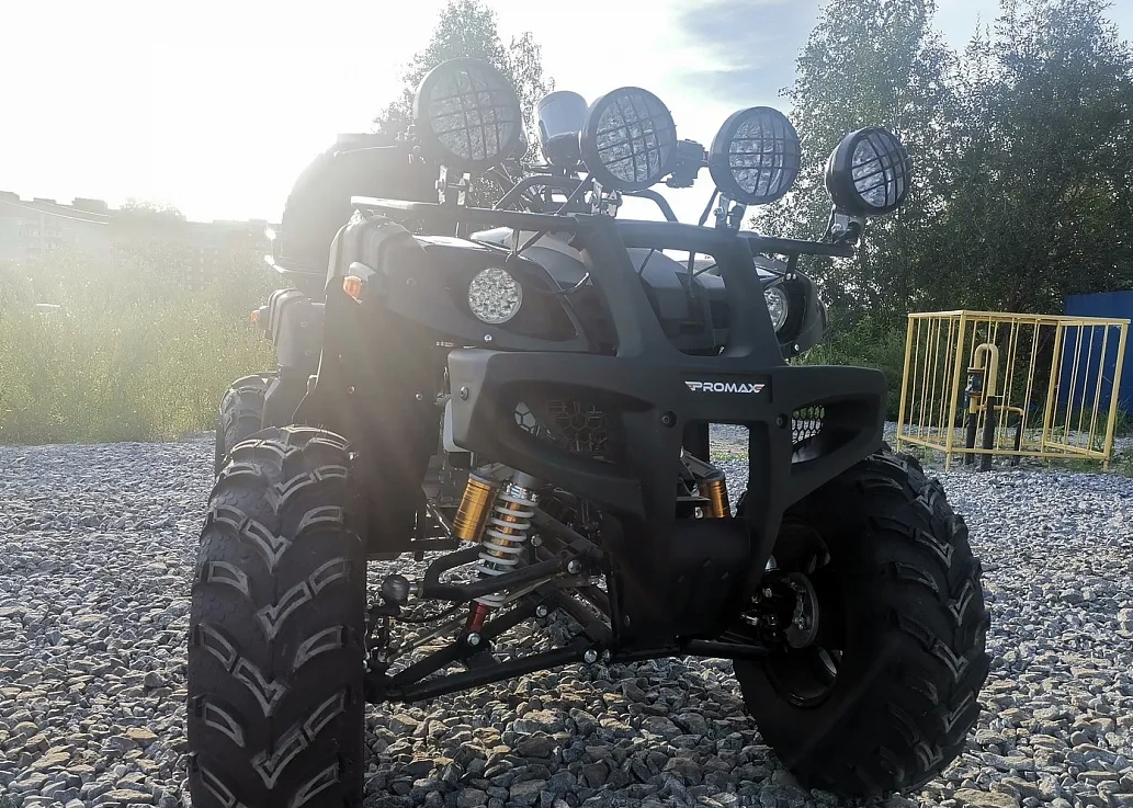 Квадроцикл PROMAX LEO 300 Max (кардан) в Пензе