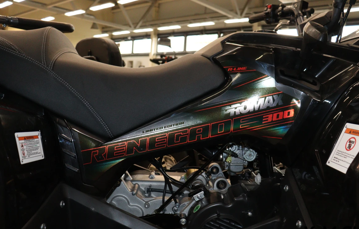 Квадроцикл PROMAX RENEGADE 300 LONG WINCH PRO (2025) в Пензе