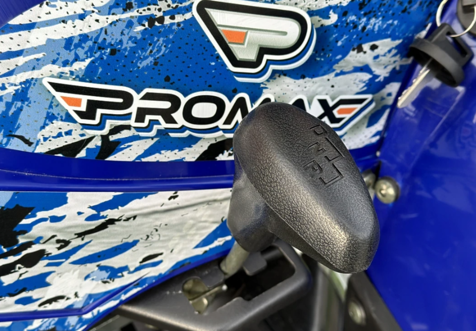  Квадроцикл PROMAX ATV 250 MAX (2025) в Пензе