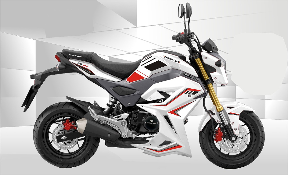 Мотоцикл PROMAX STRYKER 200(49) 2.0 в Пензе