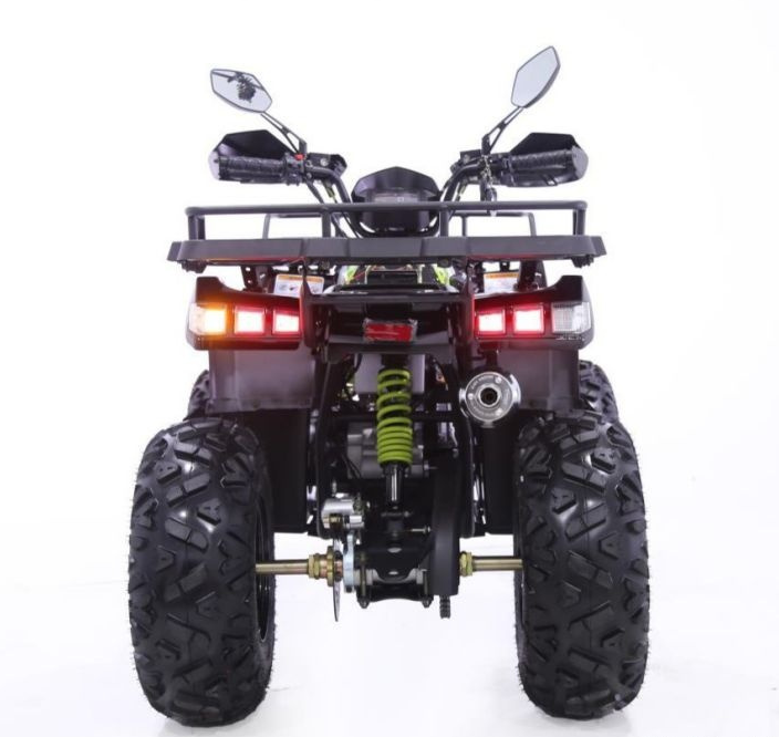 Квадроцикл YACOTA WARRIOR 200 PRO в Пензе