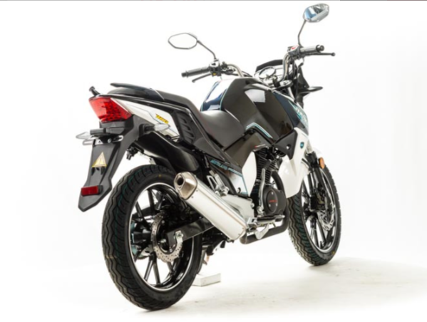 Мотоцикл MOTOLAND (МОТОЛЕНД) FIGHTER 250 в Пензе