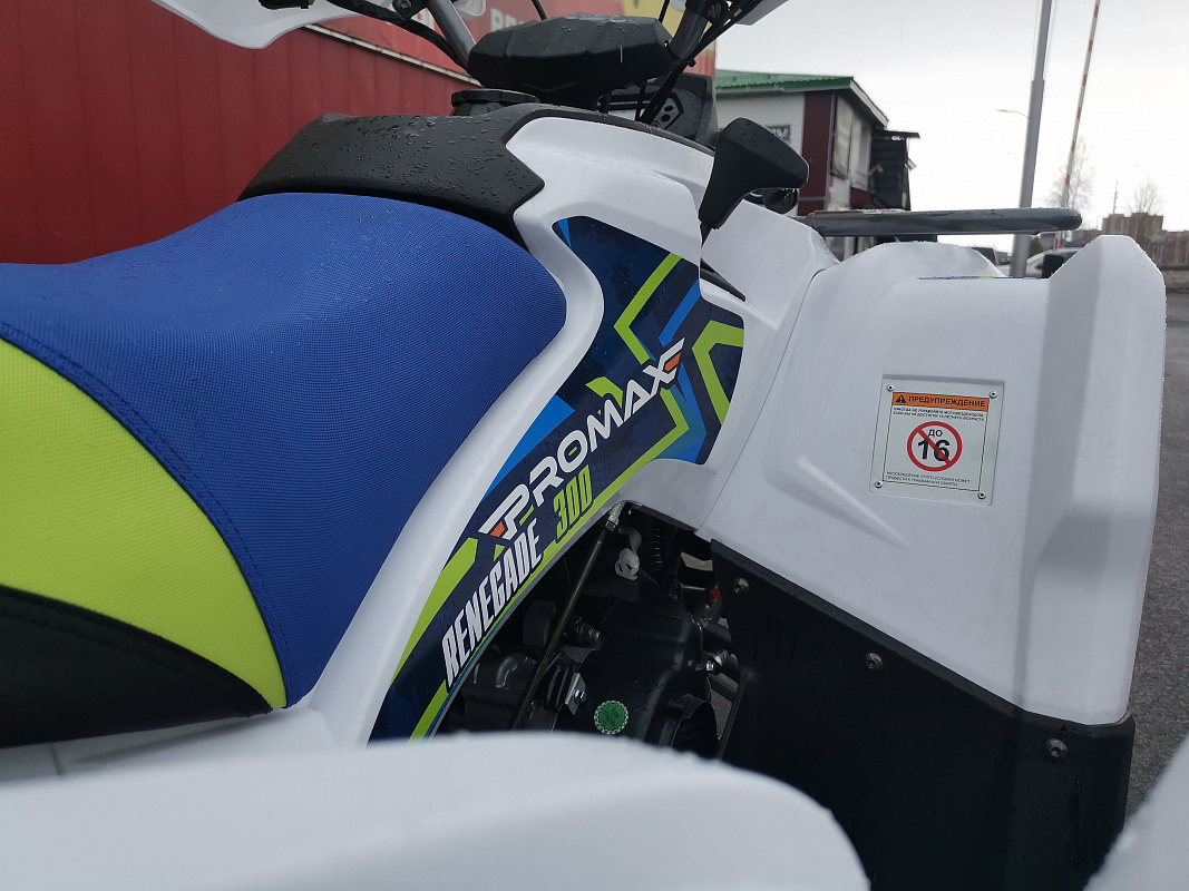 Квадроцикл PROMAX RENEGADE 280 LUX (2025) в Пензе