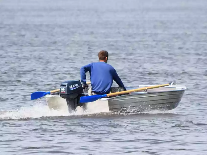 Алюминиевая Wyatboat-320 в Пензе