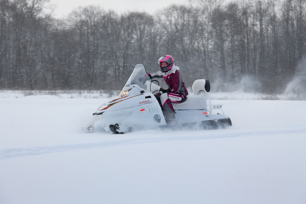СНЕГОХОД РМ ТАЙГА ПАТРУЛЬ 551 SWT в Пензе