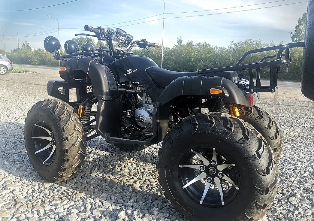 Квадроцикл PROMAX LEO 300 Max (кардан) в Пензе