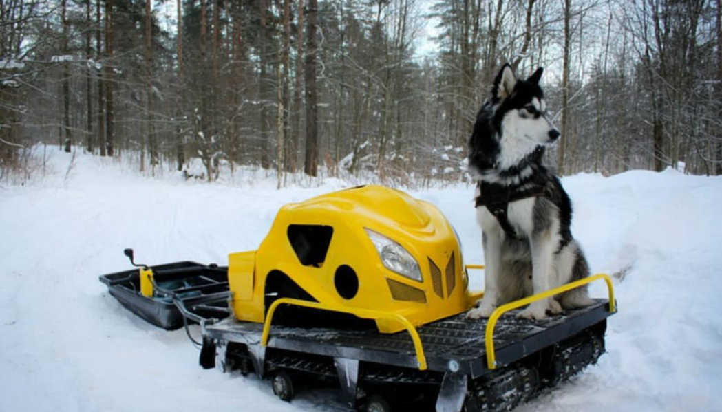 Мотобуксировщик LEBEDEV MOTORS ВОЛКОДАВ POWER V13 в Пензе