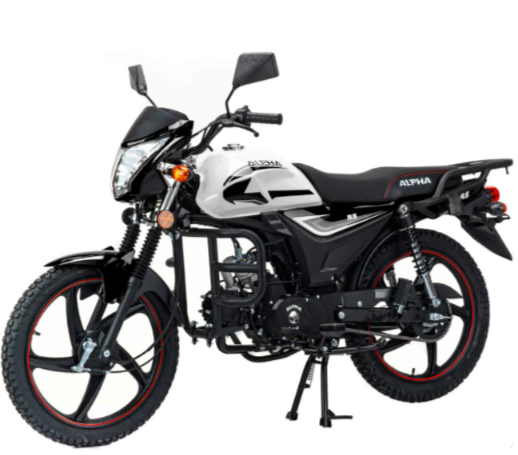 Мопед MOTOLAND (МОТОЛЕНД) Альфа RS 11 (LM48-B) в Пензе