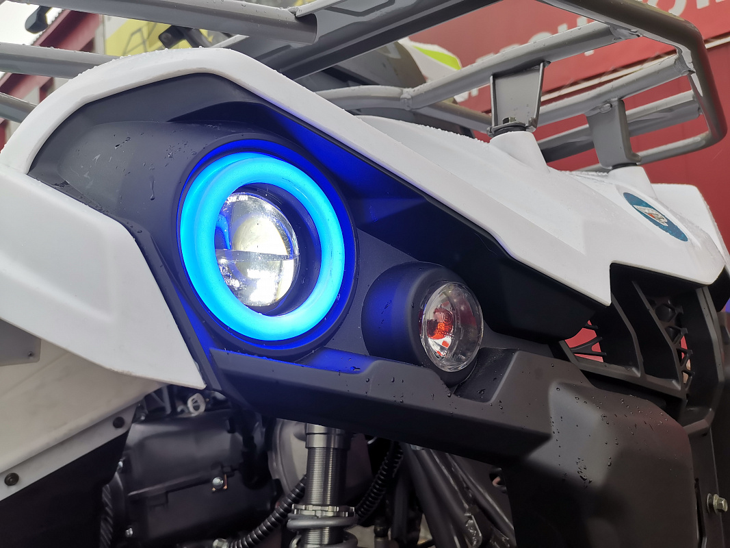 Квадроцикл PROMAX RENEGADE 280 LUX (2025) в Пензе