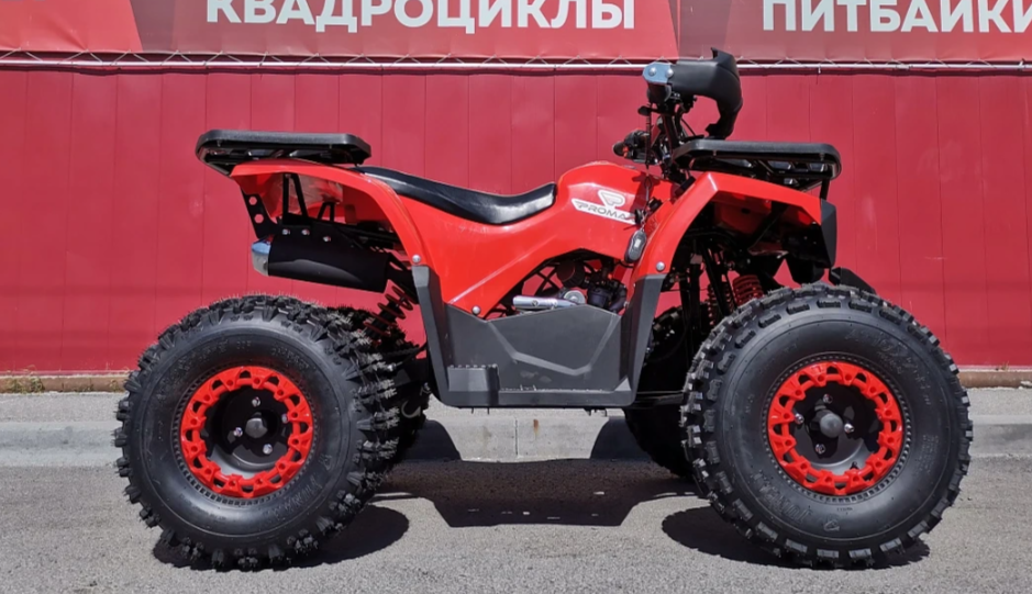 Квадроцикл PROMAX WILD 175 BASIC в Пензе